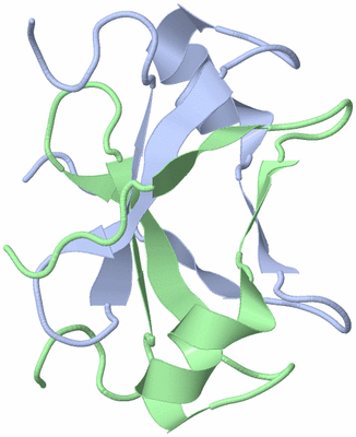 Image NMR Structure - model 1