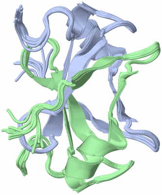 Image NMR Structure - all models