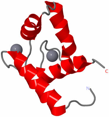 Image NMR Structure - model 1