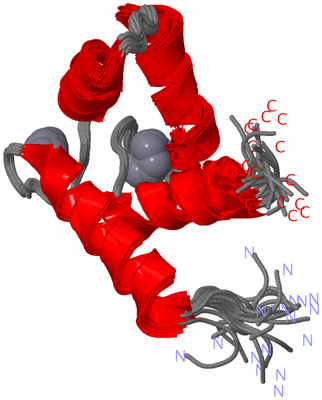 Image NMR Structure - all models