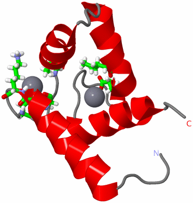 Image NMR Structure - model 1, sites