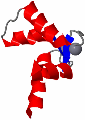 Image NMR Structure - model 1