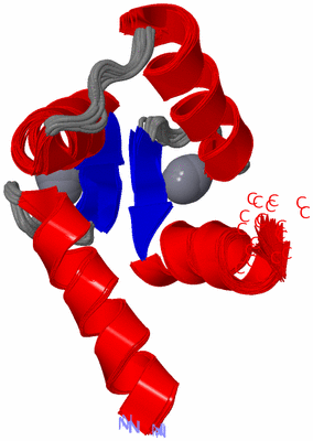 Image NMR Structure - all models