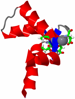 Image NMR Structure - model 1, sites