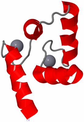 Image NMR Structure - model 1