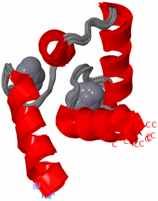 Image NMR Structure - all models