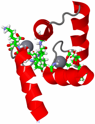 Image NMR Structure - model 1, sites