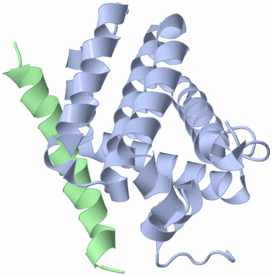 Image NMR Structure - model 1