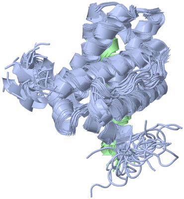 Image NMR Structure - all models