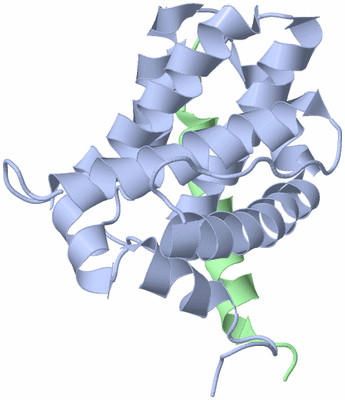 Image NMR Structure - model 1