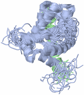 Image NMR Structure - all models