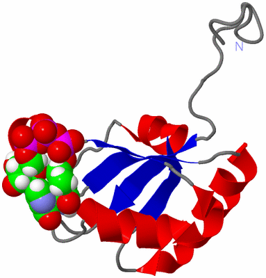 Image NMR Structure - model 1