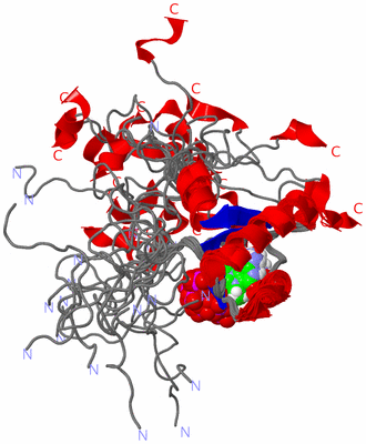 Image NMR Structure - all models