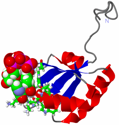 Image NMR Structure - model 1, sites