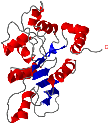 Image NMR Structure - model 1