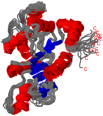 Image NMR Structure - all models