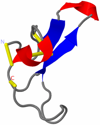 Image NMR Structure - model 1