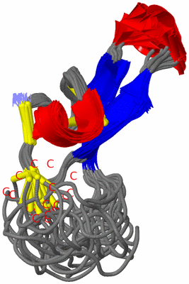 Image NMR Structure - all models