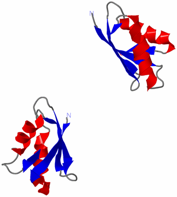 Image NMR Structure - model 1