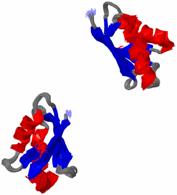 Image NMR Structure - all models