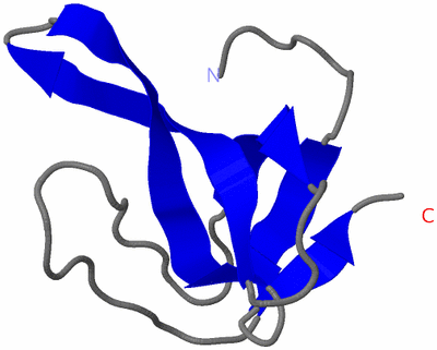 Image NMR Structure - model 1