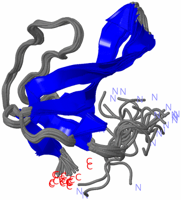 Image NMR Structure - all models