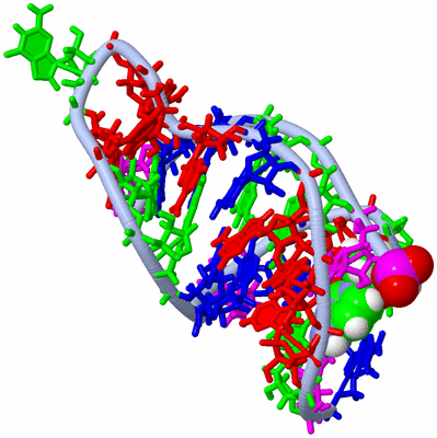 Image NMR Structure - model 1