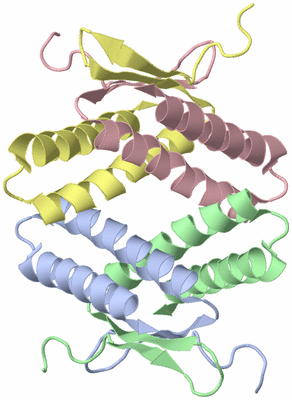 Image NMR Structure - model 1