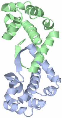 Image NMR Structure - model 1