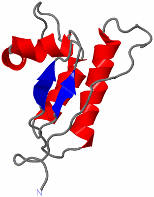 Image NMR Structure - model 1