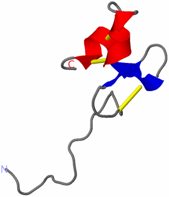 Image NMR Structure - model 1