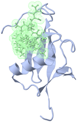 Image NMR Structure - model 1