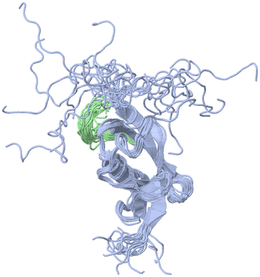 Image NMR Structure - all models