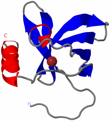 Image NMR Structure - model 1