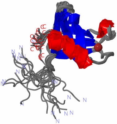 Image NMR Structure - all models