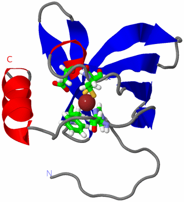 Image NMR Structure - model 1, sites