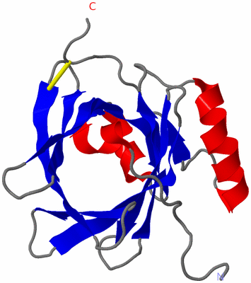 Image NMR Structure - model 1