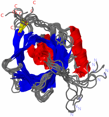 Image NMR Structure - all models