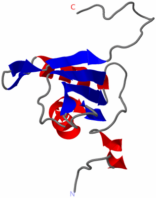 Image NMR Structure - model 1