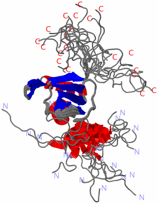 Image NMR Structure - all models