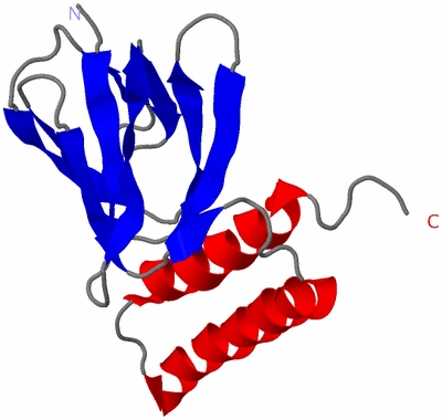 Image NMR Structure - model 1