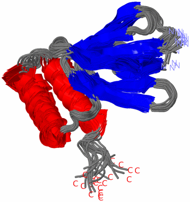 Image NMR Structure - all models