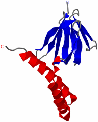 Image NMR Structure - model 1