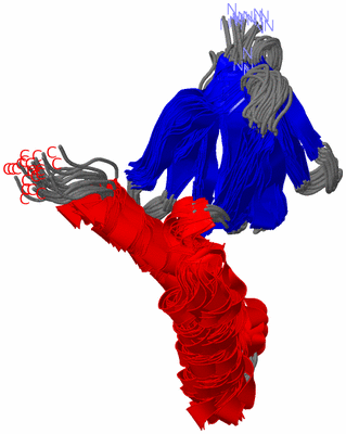 Image NMR Structure - all models