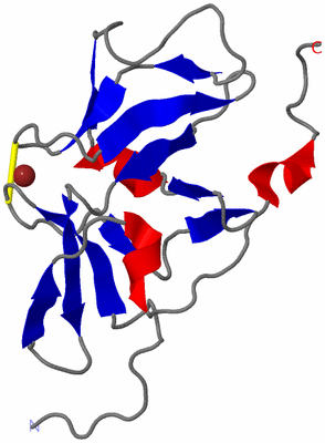 Image NMR Structure - model 1