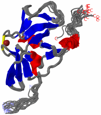 Image NMR Structure - all models