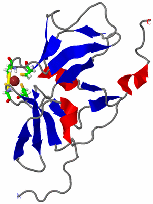 Image NMR Structure - model 1, sites