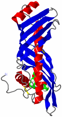 Image NMR Structure - model 1