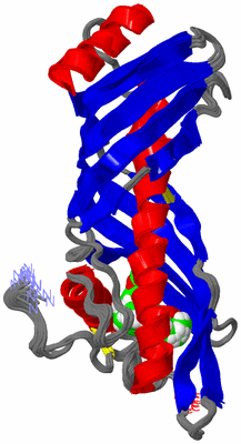 Image NMR Structure - all models