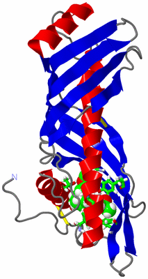 Image NMR Structure - model 1, sites